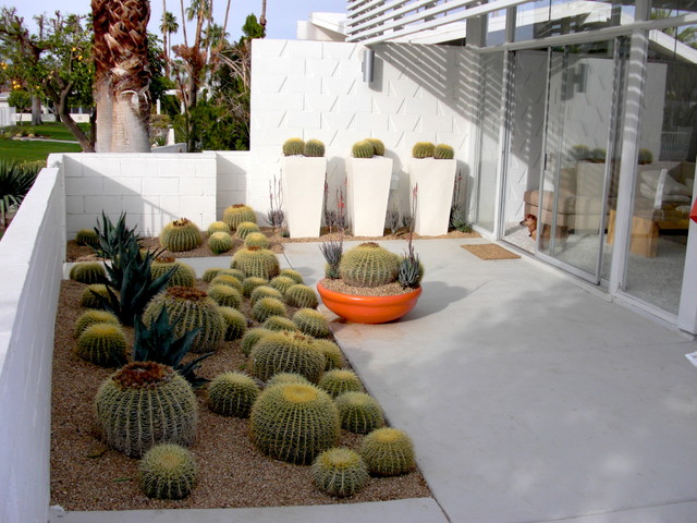 Palm Springs, California - Rétro - Terrasse et Patio - San Francisco - par Bella Vita Garden Design | Houzz