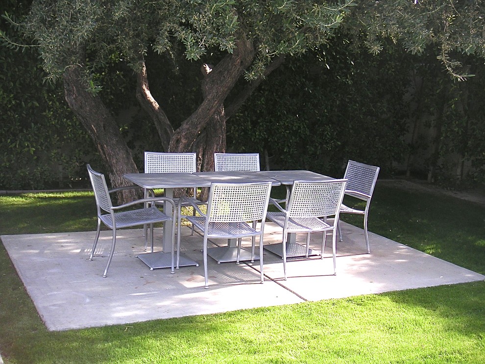 Inspiration for a mid-sized contemporary backyard concrete patio remodel in Los Angeles with no cover