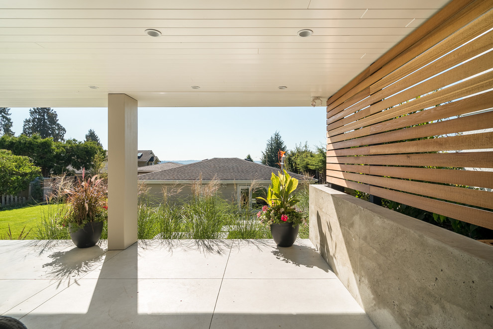 Idee per un patio o portico moderno di medie dimensioni e dietro casa con lastre di cemento e un tetto a sbalzo