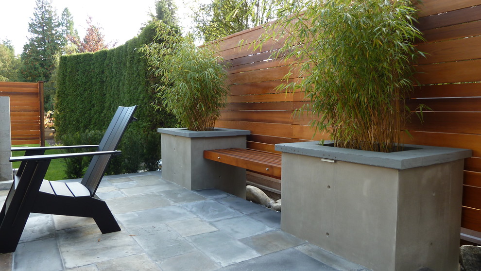Inspiration pour une terrasse arrière craftsman de taille moyenne avec un foyer extérieur, des pavés en pierre naturelle et une extension de toiture.