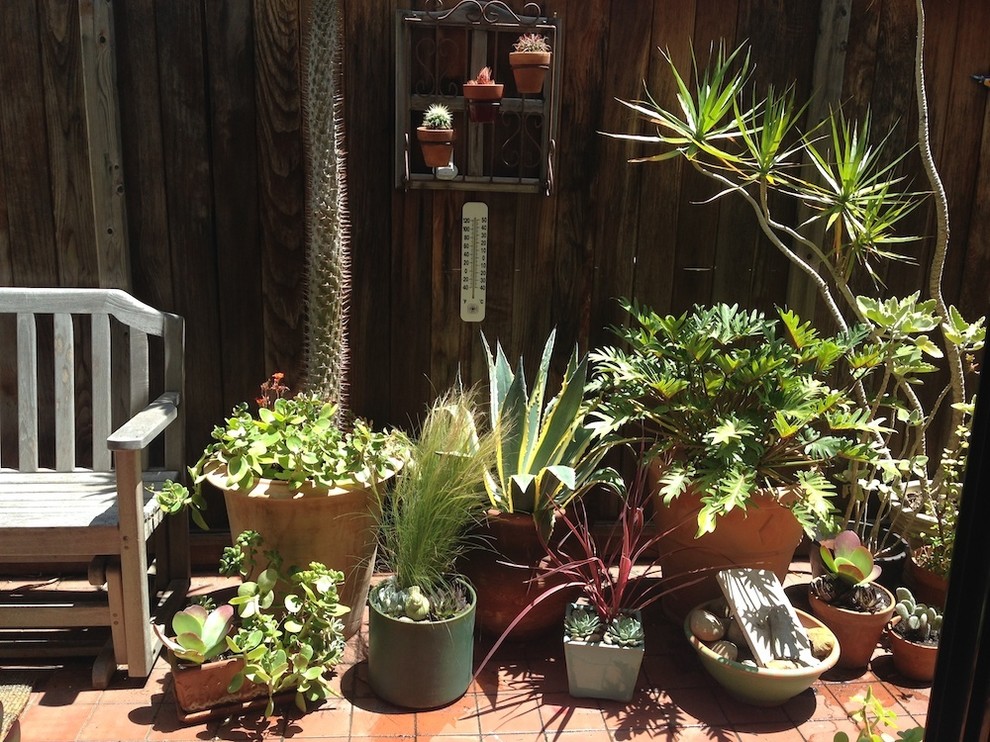 Свежая идея для дизайна: маленький двор на внутреннем дворе в стиле рустика с растениями в контейнерах без защиты от солнца для на участке и в саду - отличное фото интерьера