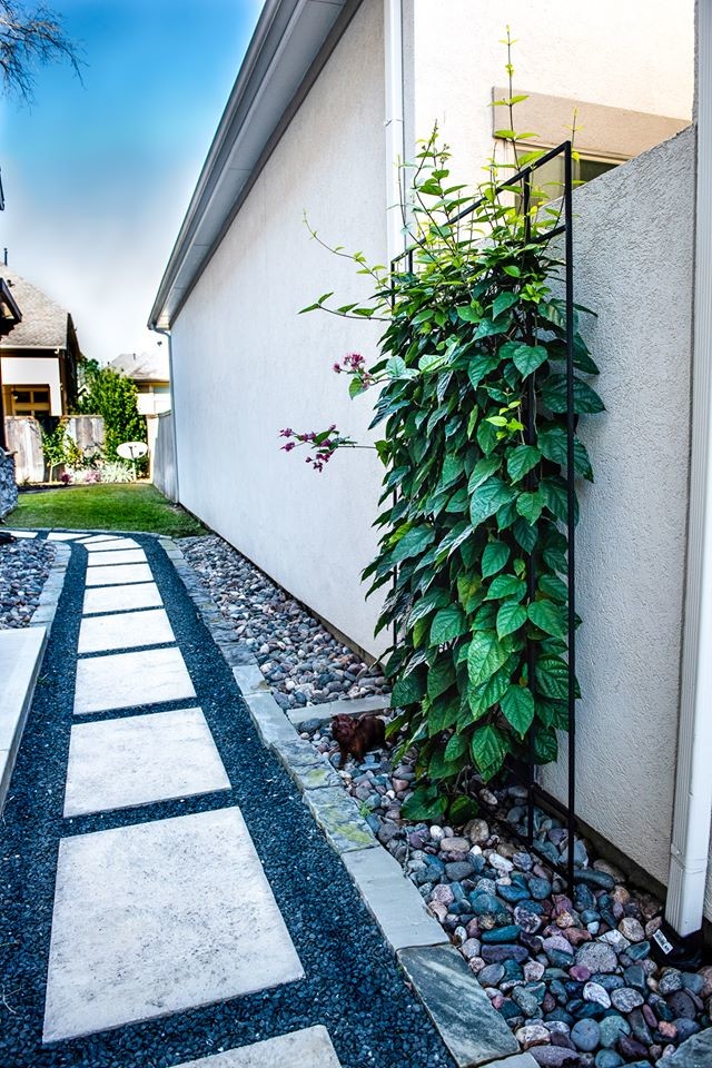 Стильный дизайн: маленький двор на боковом дворе с мощением тротуарной плиткой для на участке и в саду - последний тренд
