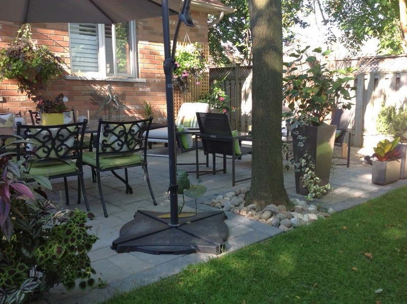 Esempio di un patio o portico chic di medie dimensioni e dietro casa con un giardino in vaso, pavimentazioni in cemento e un parasole