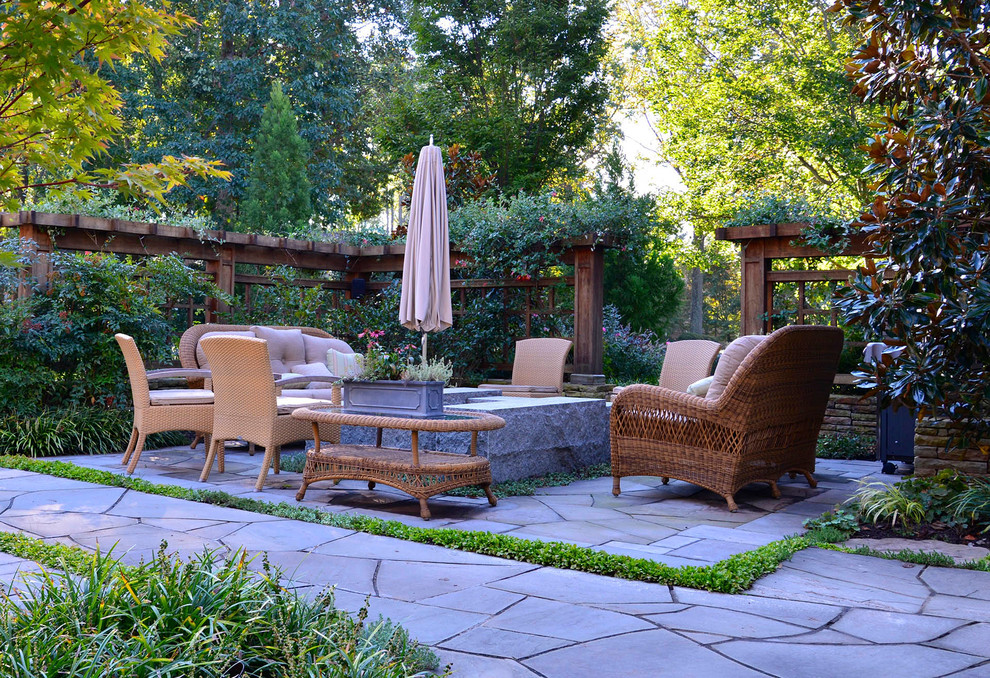 ワシントンD.C.にある中くらいなトランジショナルスタイルのおしゃれな裏庭のテラス (天然石敷き、日よけなし) の写真