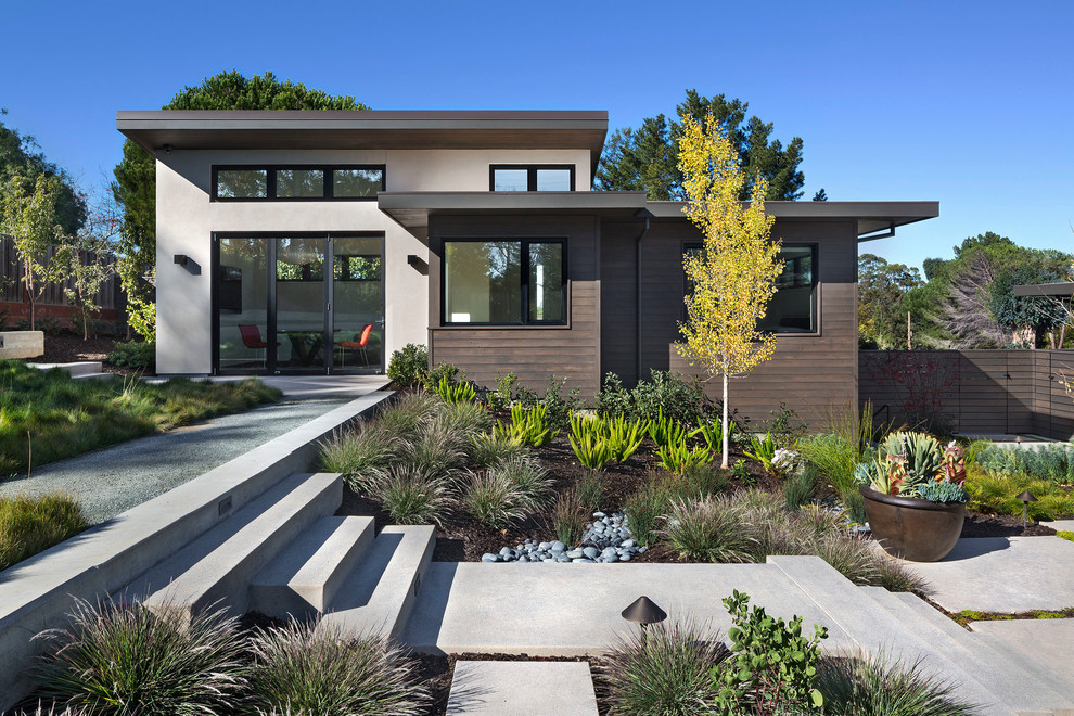 Expansive contemporary back patio in San Francisco with concrete slabs and no cover.
