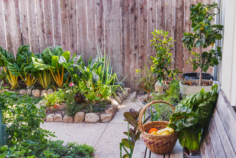 Kleines, Unbedecktes Klassisches Patio mit Gemüsegarten hinter dem Haus in Santa Barbara