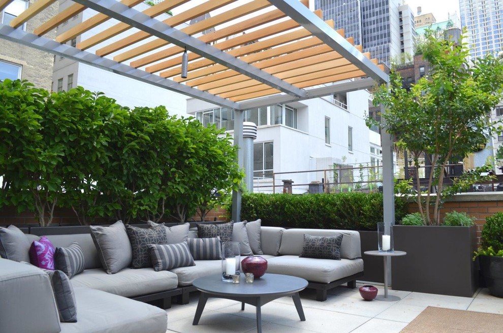 Imagen de patio minimalista grande con jardín de macetas, adoquines de hormigón y pérgola