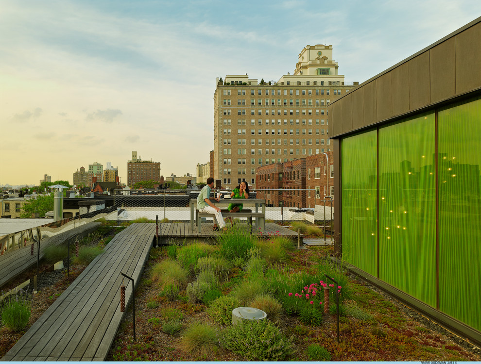 Patio - contemporary patio idea in New York