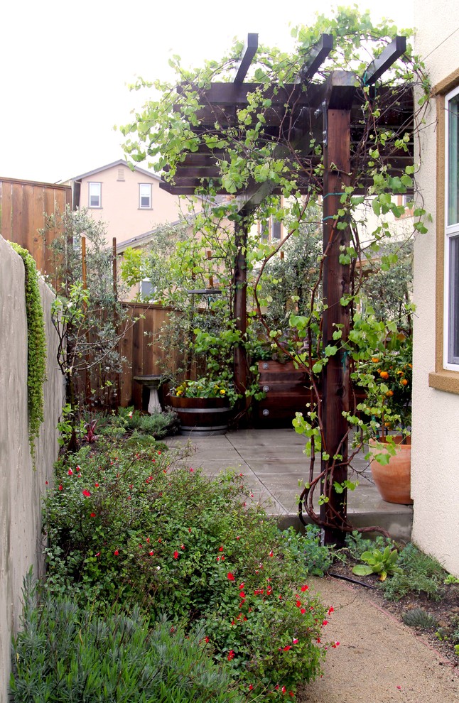 Inredning av en rustik liten uteplats på baksidan av huset, med en vertikal trädgård, betongplatta och en pergola
