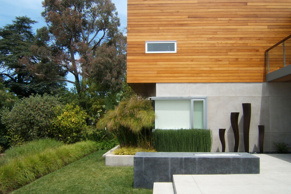 Immagine di un grande patio o portico minimalista dietro casa con un focolare, lastre di cemento e un tetto a sbalzo
