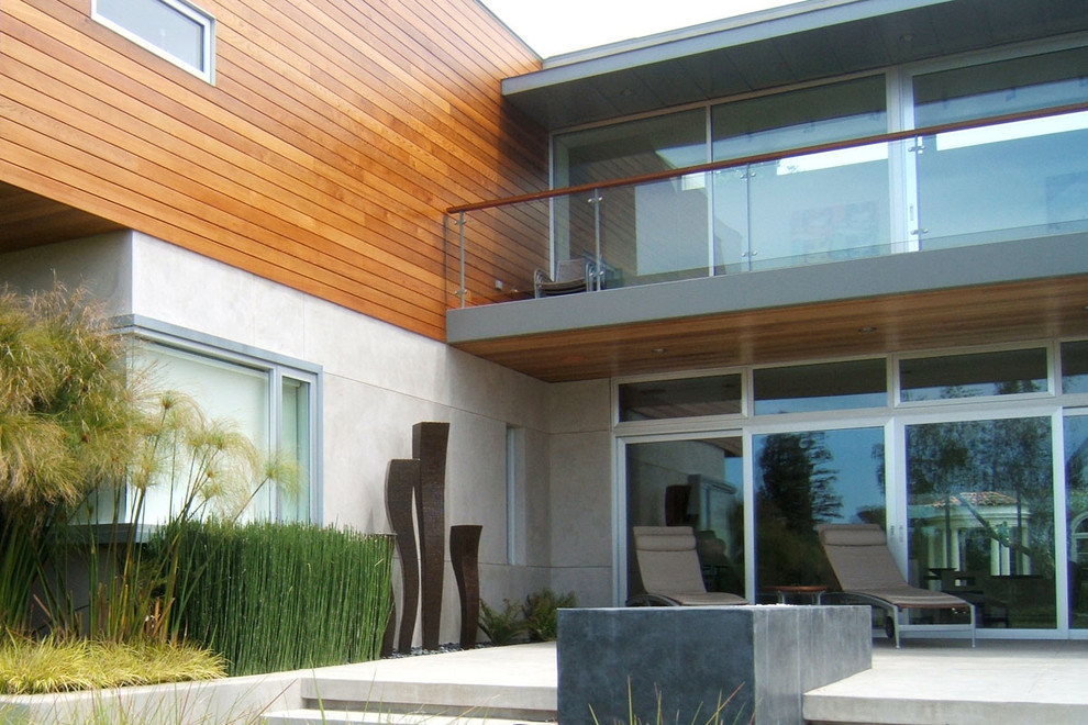 Immagine di un grande patio o portico moderno dietro casa con un focolare, lastre di cemento e un tetto a sbalzo