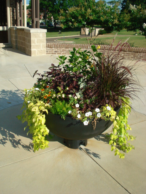 Example of a small island style courtyard concrete patio container garden design in Other with no cover