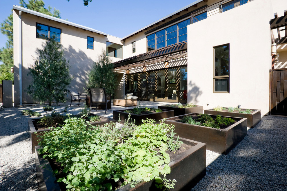 Ejemplo de patio contemporáneo en patio con pérgola