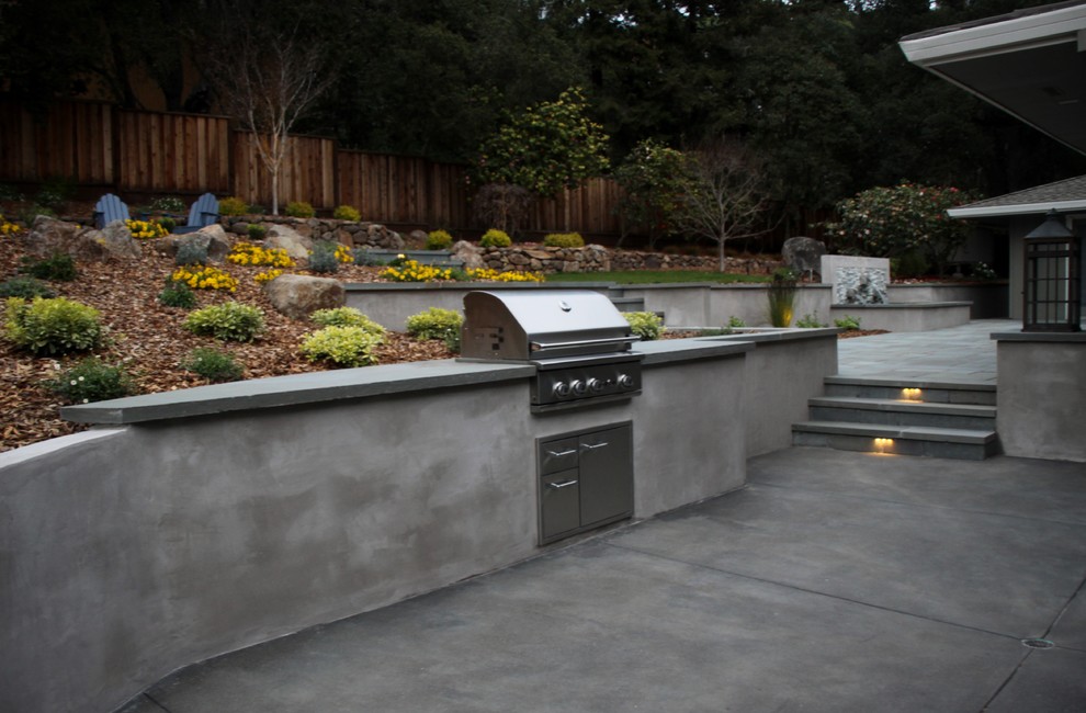 Large trendy backyard concrete paver patio kitchen photo in San Francisco with no cover