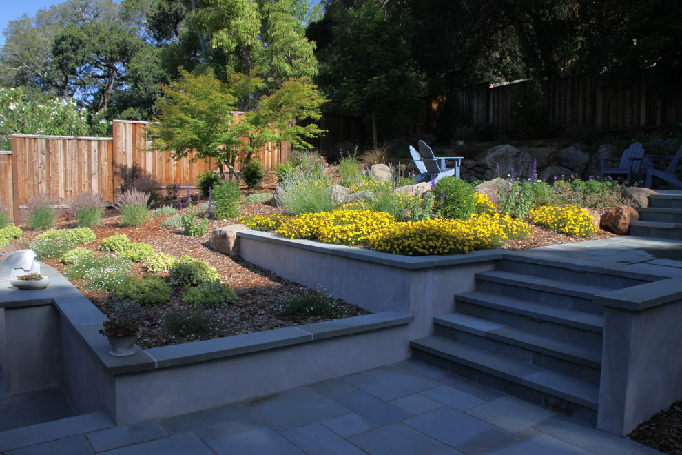 Proctor Terrace Backyard Contemporary Landscape San Francisco