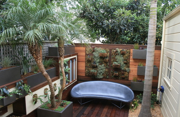 Kleiner, Unbedeckter Moderner Patio hinter dem Haus mit Kübelpflanzen und Dielen in San Francisco