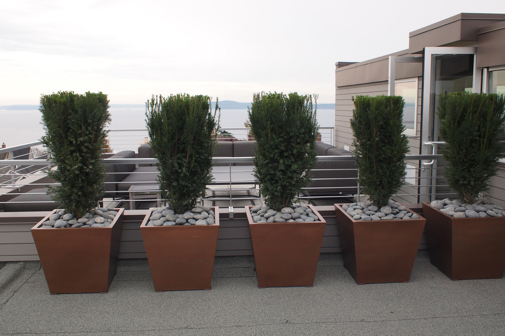 Trendy patio photo in Seattle