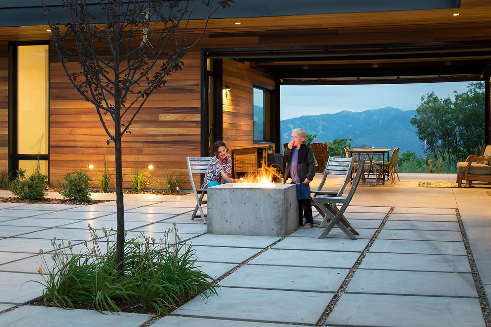 Inspiration pour une terrasse minimaliste avec une cour, des pavés en béton et une extension de toiture.