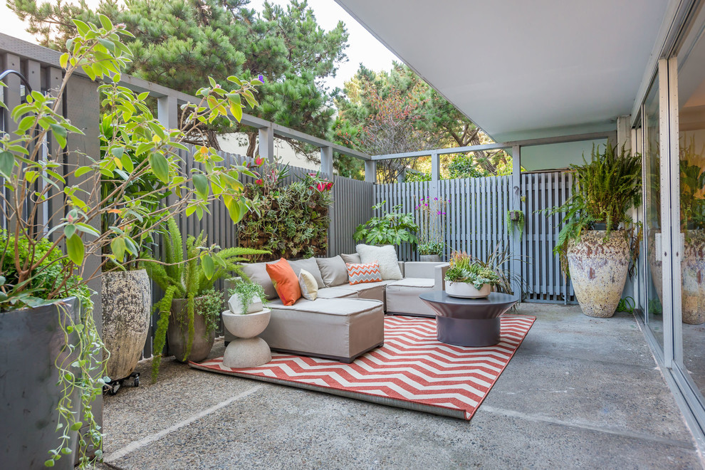 На фото: двор в стиле неоклассика (современная классика) с вертикальным садом и покрытием из бетонных плит с