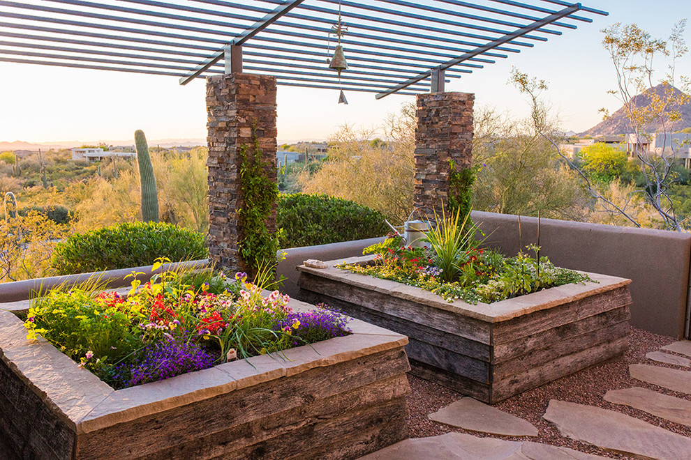 Réalisation d'une terrasse avec des plantes en pots arrière urbaine de taille moyenne avec une pergola.