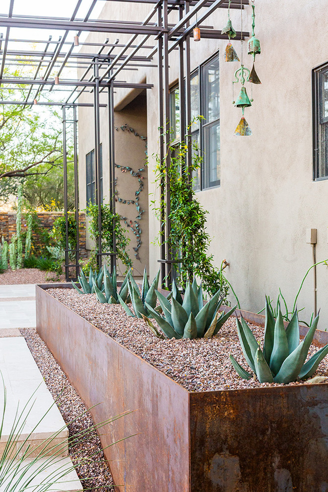 Réalisation d'une terrasse avec des plantes en pots arrière urbaine de taille moyenne avec une pergola.