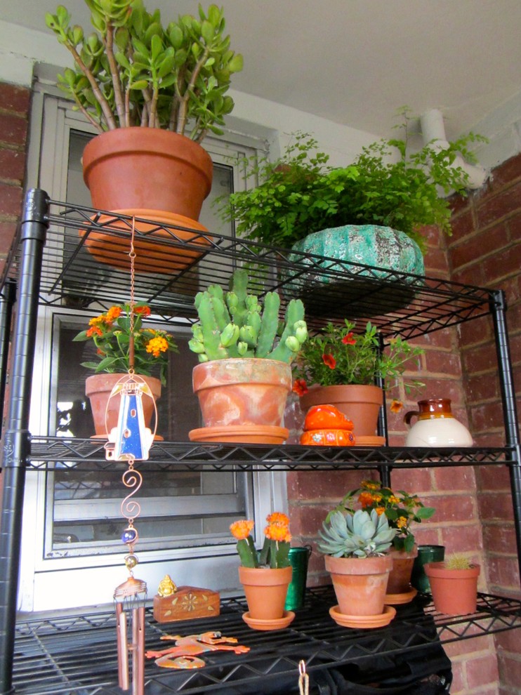 Esempio di un piccolo patio o portico design con un giardino in vaso e un tetto a sbalzo