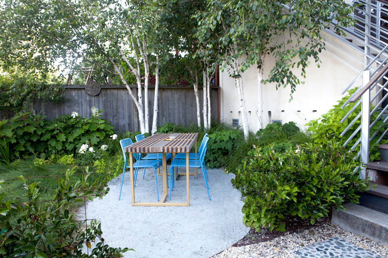 This is an example of a small modern back patio in San Francisco with gravel.