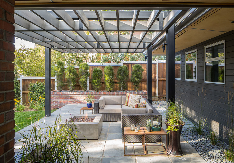 Idee per un patio o portico minimal di medie dimensioni e dietro casa con pavimentazioni in cemento e una pergola