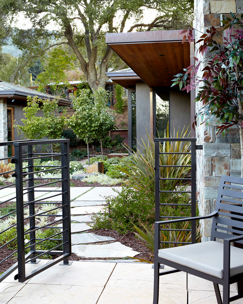 Immagine di un patio o portico contemporaneo di medie dimensioni e dietro casa con un focolare, lastre di cemento e nessuna copertura