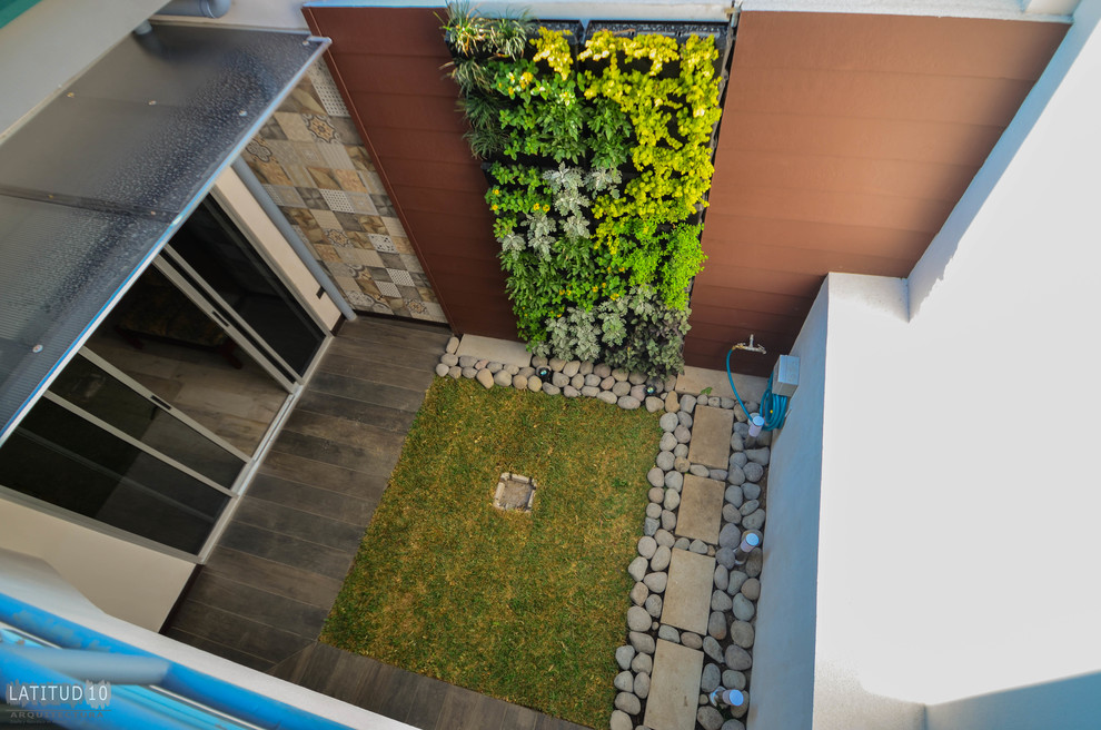 Exempel på en liten modern uteplats på baksidan av huset, med en vertikal trädgård, marksten i betong och en pergola