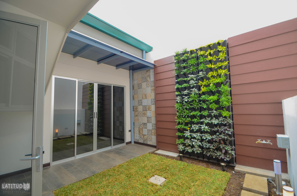 Idéer för en liten modern uteplats på baksidan av huset, med en vertikal trädgård, marksten i betong och en pergola