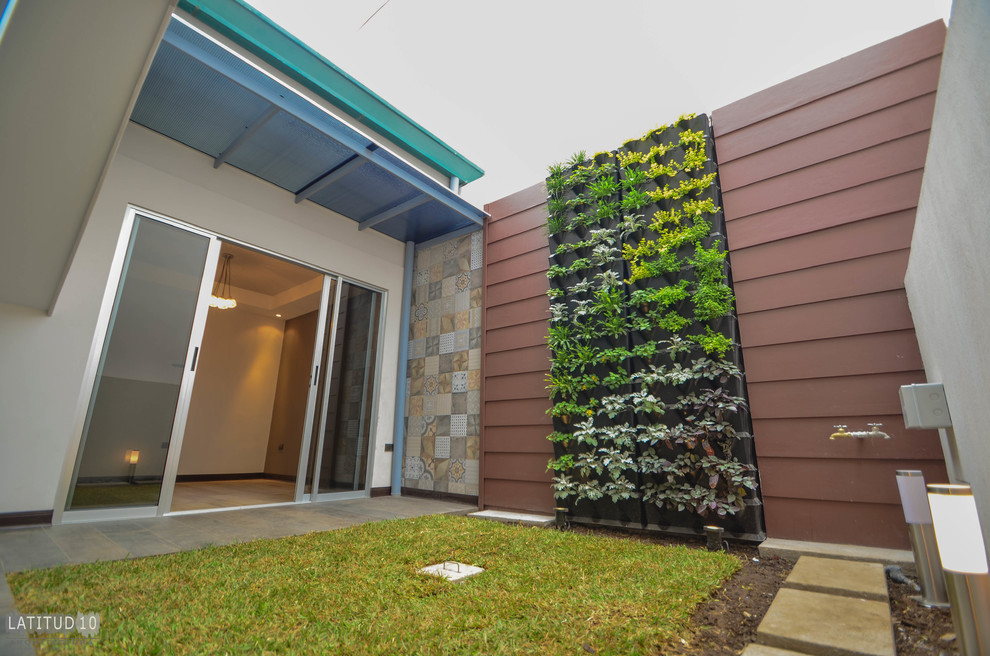 Photo of a small contemporary back patio in Other with a living wall, concrete paving and a pergola.