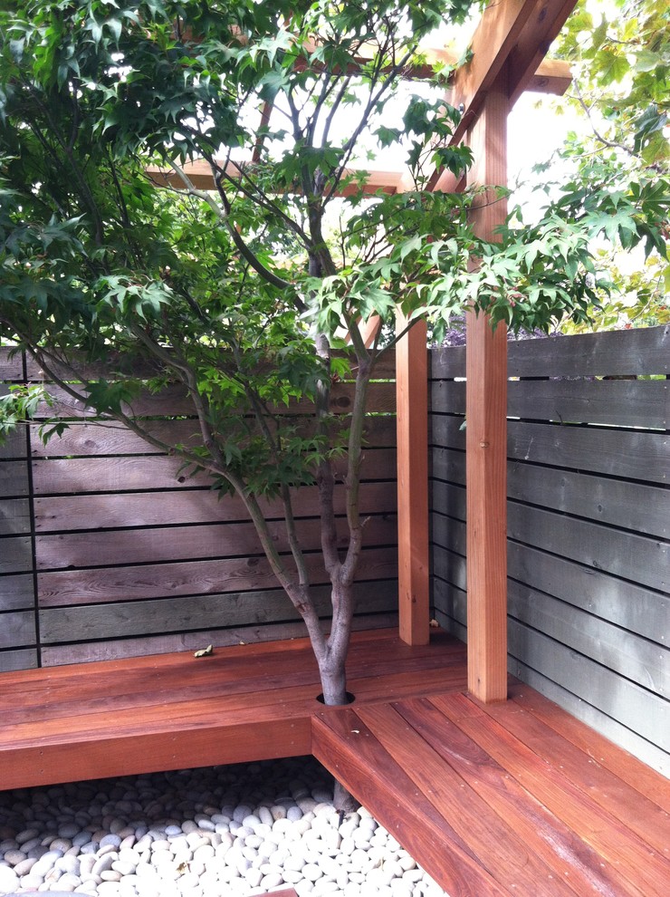 Ispirazione per un patio o portico minimalista di medie dimensioni e davanti casa con una pergola