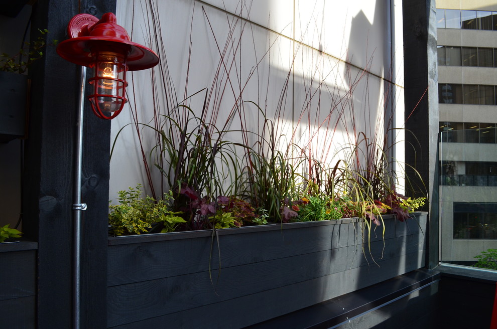 Rooftop Garden Craftsman Patio Edmonton by Aruuki Artisans Group Houzz