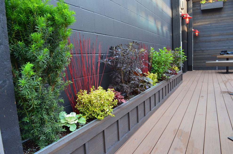 Rooftop Garden Craftsman Patio Edmonton by Aruuki Artisans Group Houzz