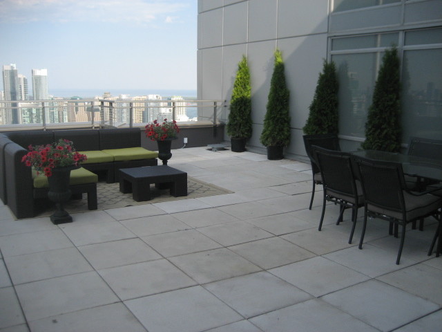 Immagine di un ampio patio o portico design con nessuna copertura e pavimentazioni in cemento