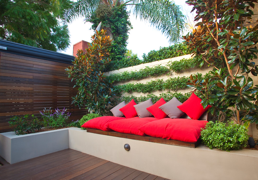 Patio - contemporary patio idea in Sydney