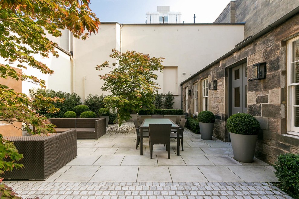 Cette image montre une terrasse design avec une cour.