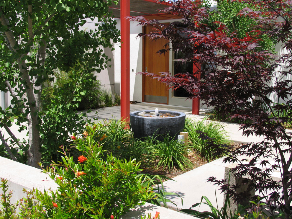 Стильный дизайн: большая пергола во дворе частного дома на переднем дворе в современном стиле с фонтаном и покрытием из бетонных плит - последний тренд