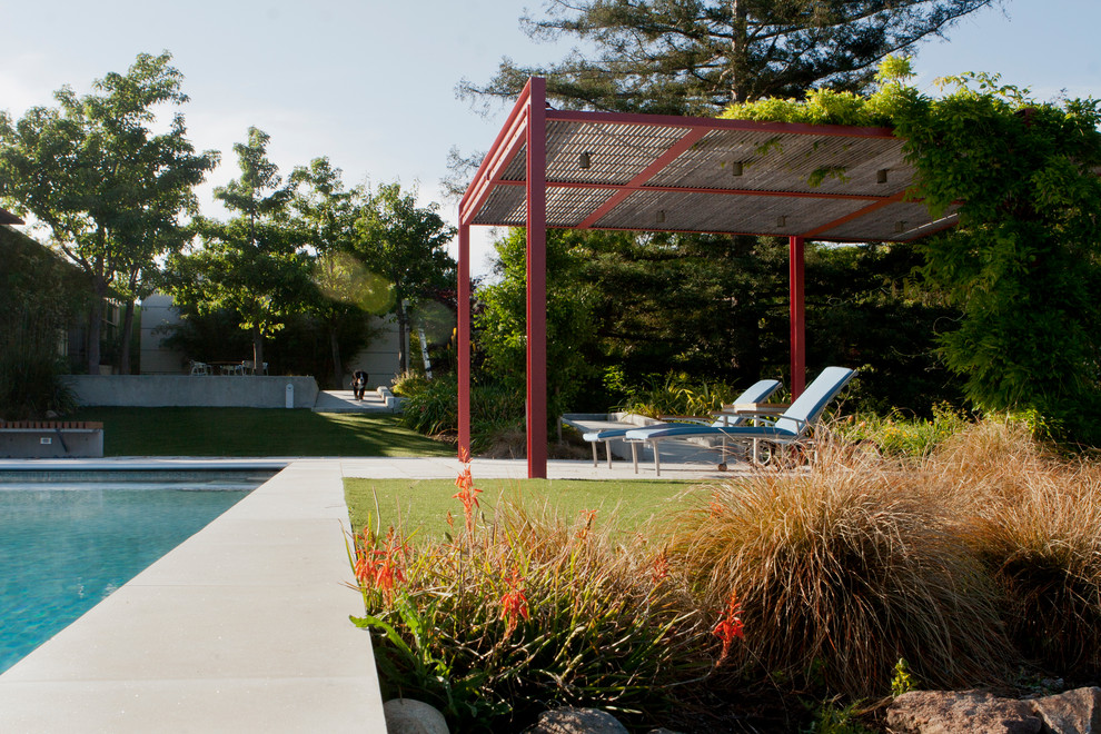 Inspiration for a large contemporary back patio in San Francisco with a pergola and natural stone paving.