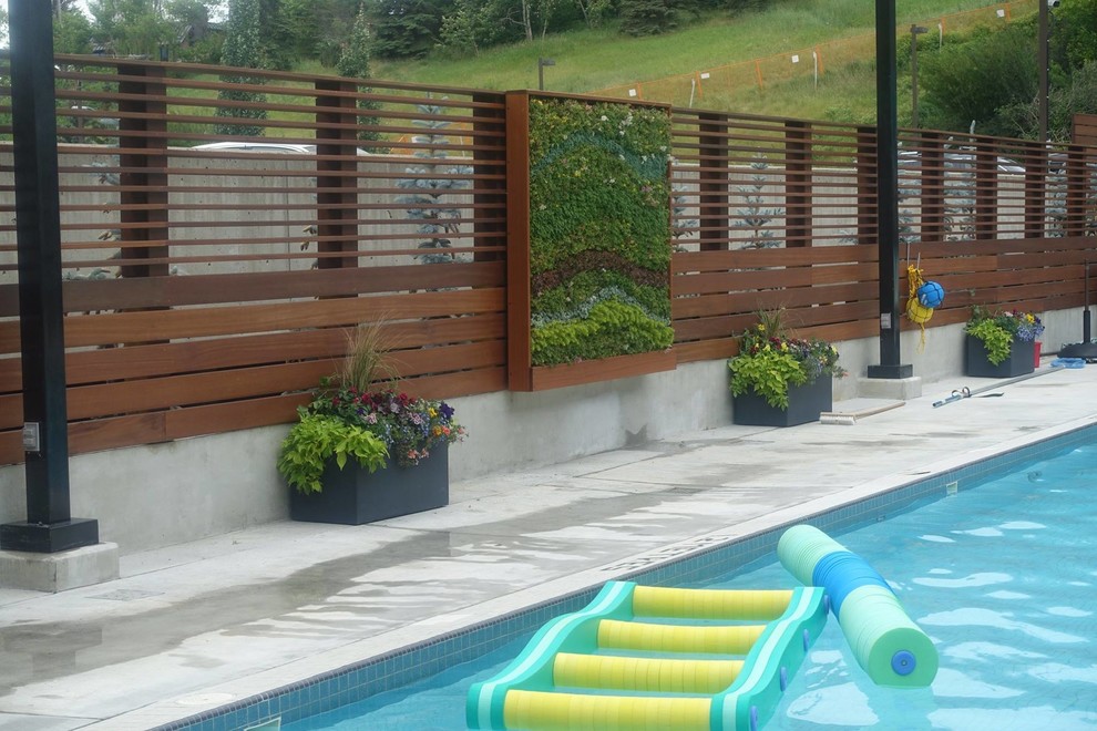 Foto de patio clásico renovado grande sin cubierta en patio trasero con jardín vertical y adoquines de hormigón