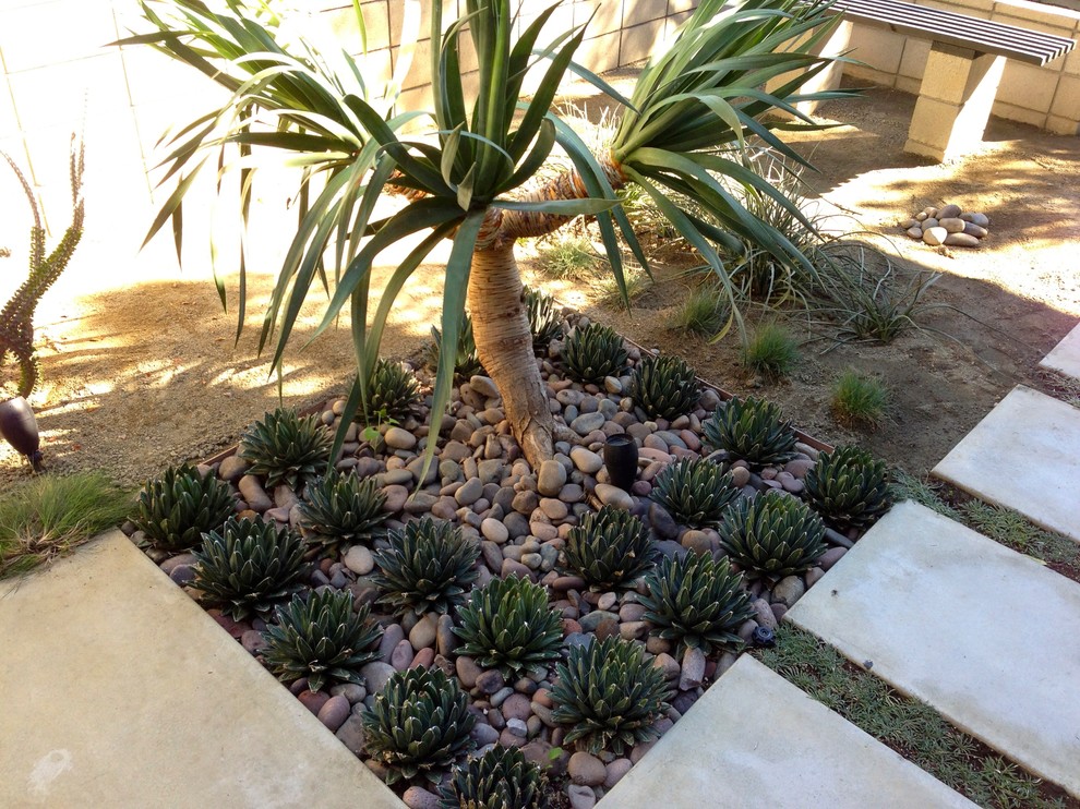 Design ideas for a mid-century modern landscaping in San Diego.