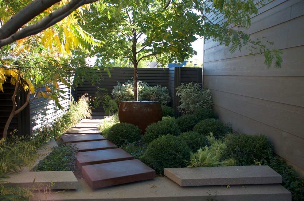 Kleine Moderne Pergola hinter dem Haus mit Wasserspiel und Betonplatten in Denver