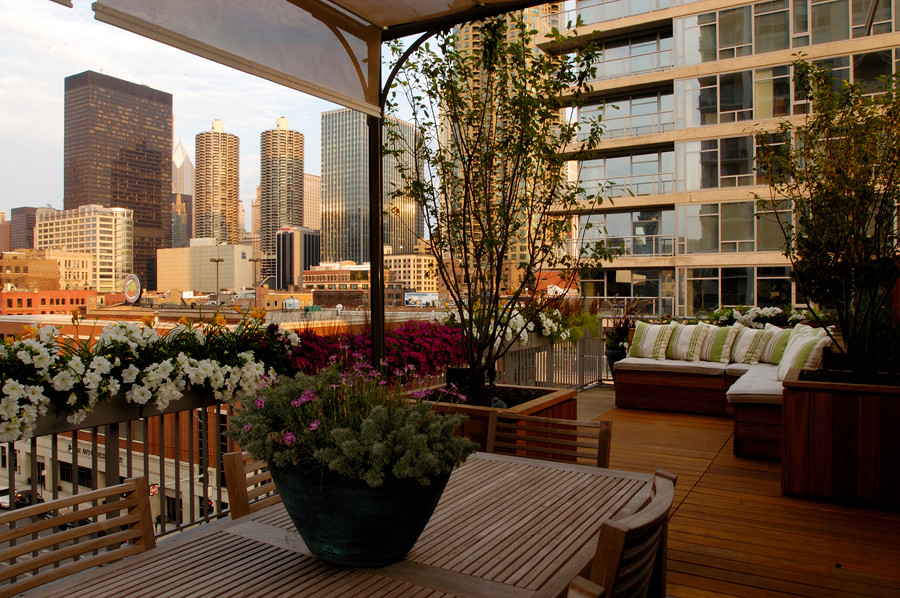 Skyline Terrace Eclectic Patio Chicago by Chicago Specialty Gardens, Inc. Houzz