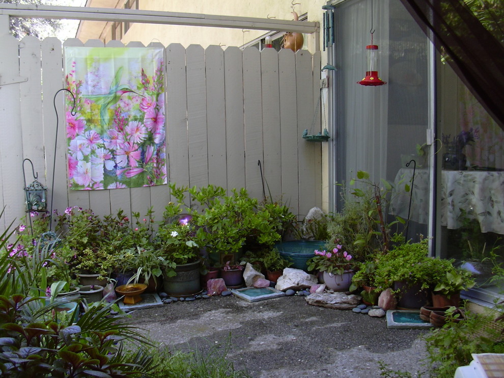 Ispirazione per un piccolo patio o portico bohémian dietro casa con un giardino in vaso, lastre di cemento e un parasole