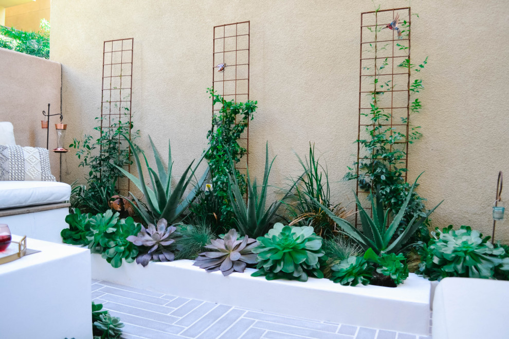 Idée de décoration pour une petite terrasse design avec un foyer extérieur, une cour et des pavés en béton.