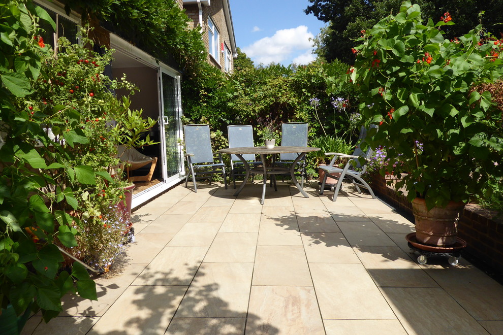 Modelo de patio actual pequeño sin cubierta en patio trasero con jardín de macetas y suelo de baldosas