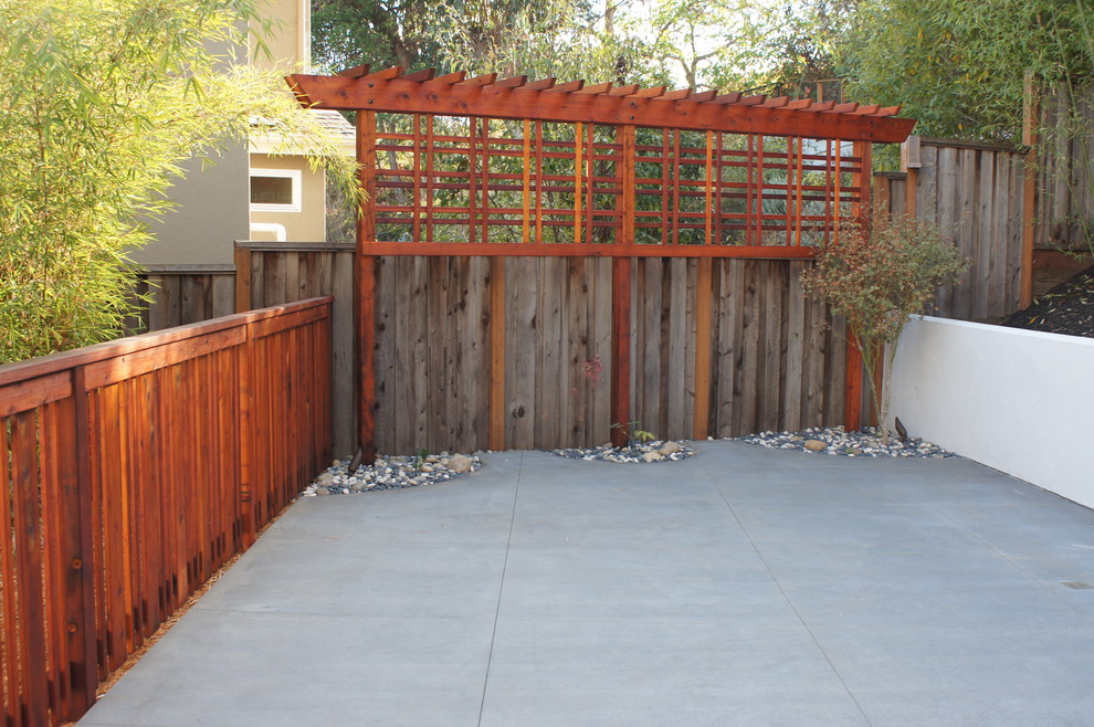 Idée de décoration pour une terrasse arrière minimaliste de taille moyenne avec une dalle de béton.