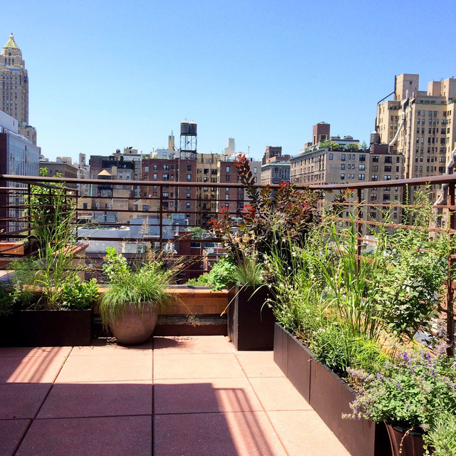 Staghorn NYC Rooftop Gardens Contemporary Patio New York by