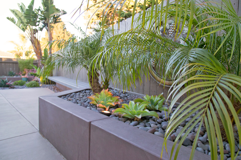 Esempio di un piccolo patio o portico tropicale dietro casa con lastre di cemento